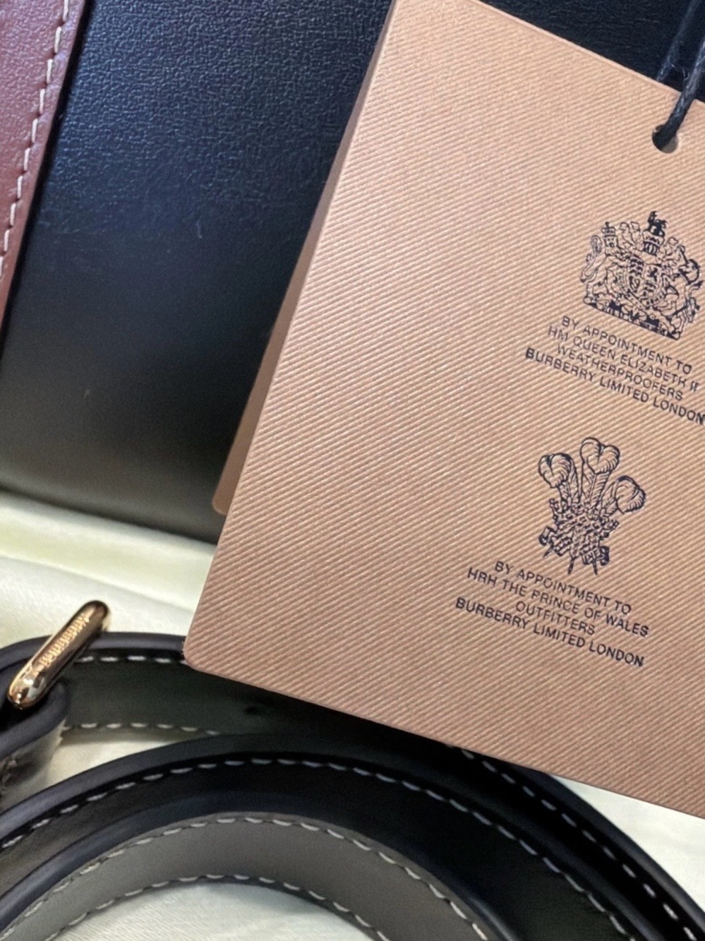 Burberry Title Handbag - Picture 16 of 16